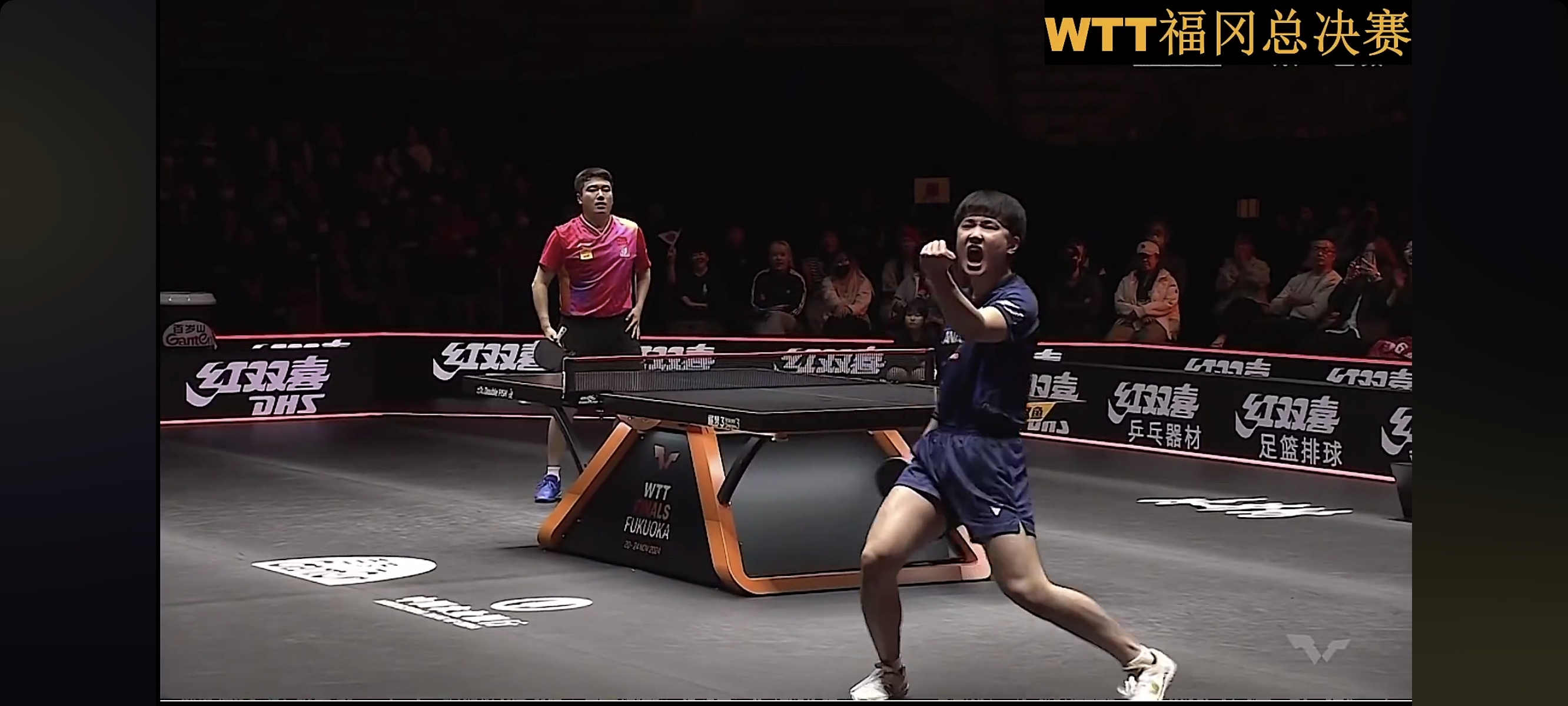 关于奥地利队碾压日本队,张本智和惊艳四座的信息 关于奥地利队碾压日本队,张本智和惊艳四座的信息